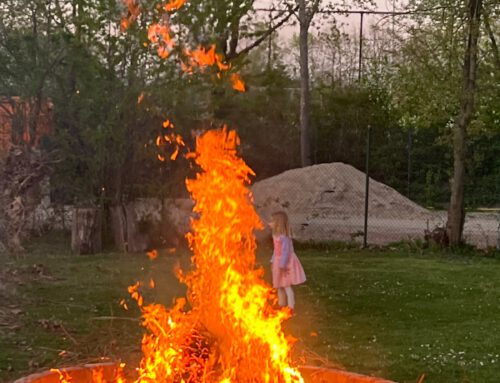 Martins­feuer am 15.11.2025 ab 17:00 Uhr